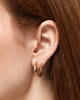 Gold Hoop Earrings - Walker Hoops