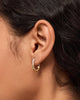 Gold Hoops - Brynley Hoops Mini Micropave