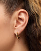 Gold Hoop Earrings - Giulia Medium