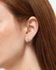 Gold Hoop Earrings - Walker Huggie Hoops