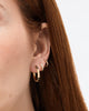 Gold Hoop Earrings - Walker Hoops