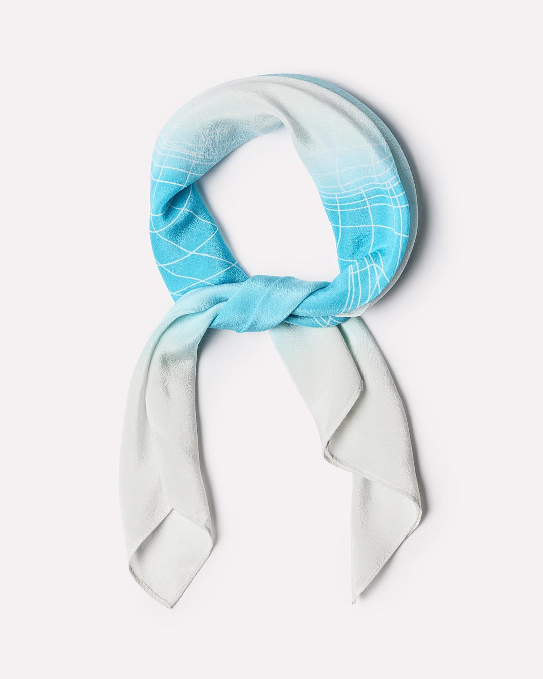 Blue Silk Scarf - Flora Silk Scarf