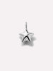 Silver Charms - Silver Welding Star Charm