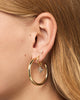 Hoop Earrings - Tia Medium Gold