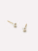 Ana Luisa Jewelry Earrings Studs Pearl Stud Earrings Gold Pearl Studs Solid Gold